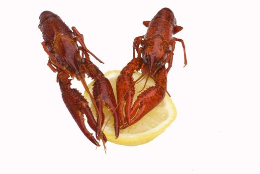 Crawfish with lemon isolated on white