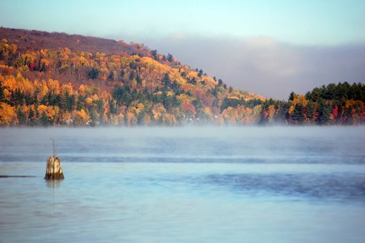 Picture of a colorful autumn landscape with morning fog