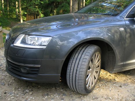 Close-up of luxury sedan at forest.