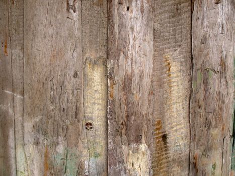 Old wood texture