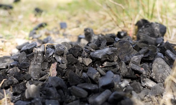 Black coal on green grass