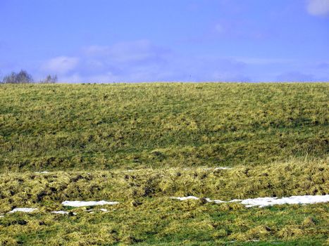 Empty grassland on spring.