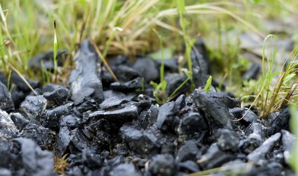 Black coal on green grass