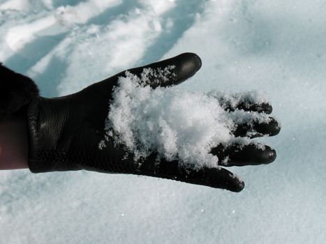 Hand with snow.