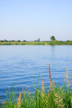 Summer landscape with quiet water of lake and wood