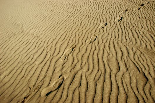 Footprints in sandy beach texture