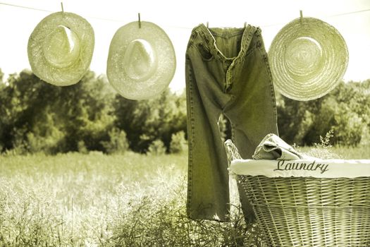 Blue jeans and straw hats on clothesline in a field