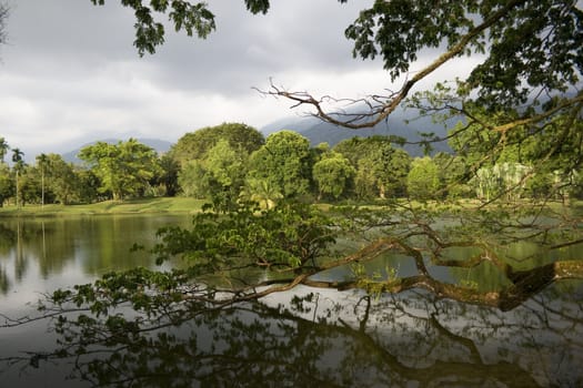 Lakeside view in a tropical country.