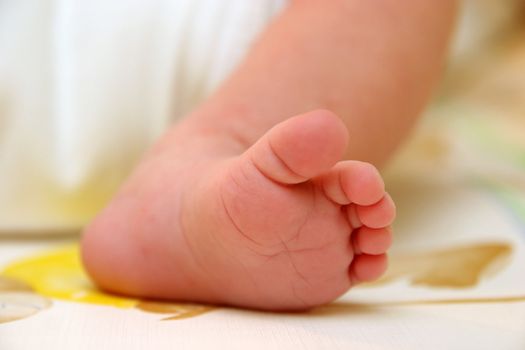 Baby feet in closeup