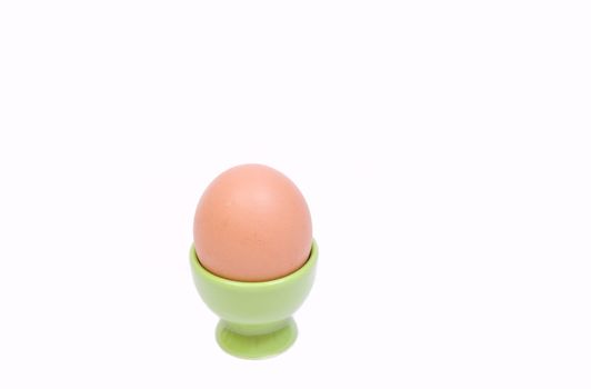 fresh chicken egg in a support