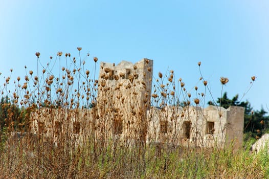 Ruin and dead flowers