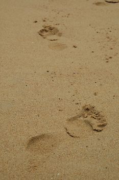 Footprints in the sand