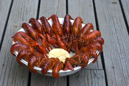 Crayfish in a white bowl
