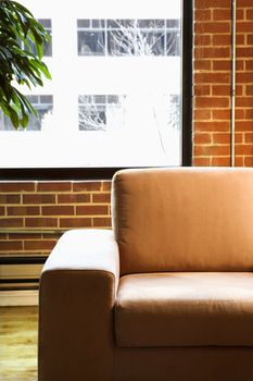 Cushy chair in loft apartment with houseplant in front of window.