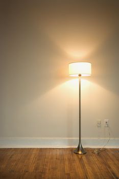 Still life of floor lamp on hardwood floor.