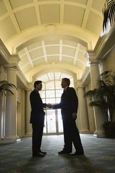 Prime adult Asian and Caucasian businessmen shaking hands.