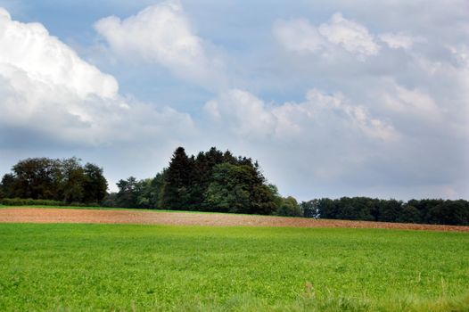 The field and blue sky.