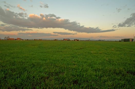 green grass and storm red sky