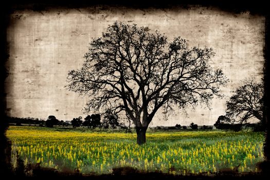 Aged paper background with a tree landscape