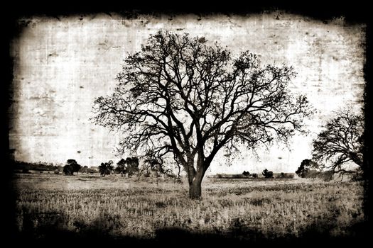 Aged paper background with a tree landscape