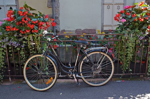 Old bicycle and garden decorated with flowers