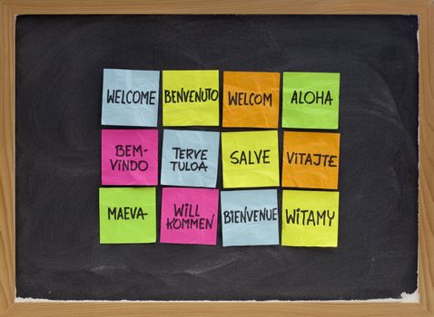 welcome in a dozen of languages (Finnish, Slovak, Tahitian, Italian, Latin, English, German, Hawaiian, Portuguese, Dutch, Polish, French) - array of colorful sticky notes on blackboard with white chalk texture