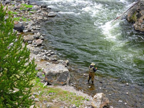 Fly fishing in the Yellowstone River in Yellowstone National Park.
