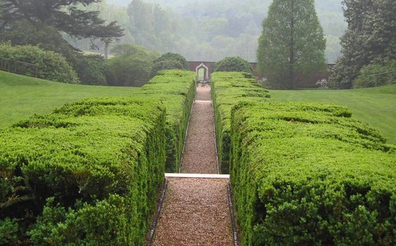 A garden pathway leads into the fog.
