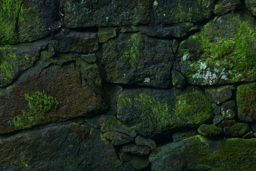 The old stone wall covered by a moss