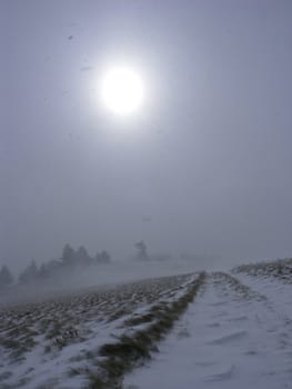 Road with snow and the frozen sun