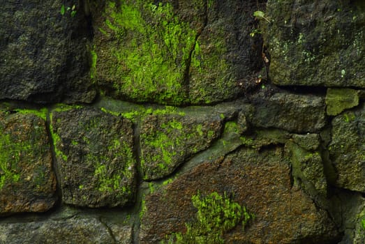 The old stone wall covered by a moss