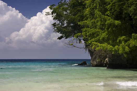 a beautiful beach on a tropical paradise