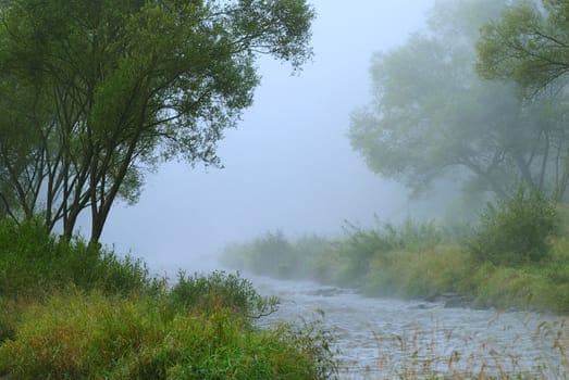 The small forest river in the early foggy morning
