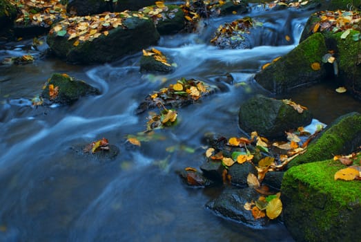 Mountain wood stream in an autumn forest