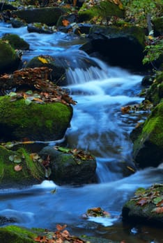 Mountain wood stream in an autumn forest