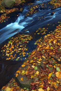 Mountain wood stream in an autumn forest