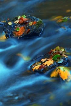 Mountain wood stream in an autumn forest