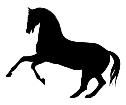 Illustrated horse silhouette