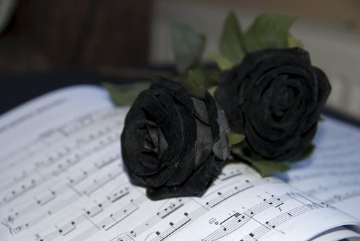 Black rose on sheet music