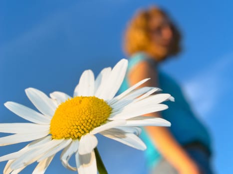 White flower with girl silhouette