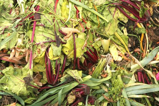 Compost Heap Made of Unused Vegetables in Recycle