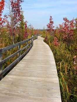 Path in marsh in Magog, Province of Quebec, canada