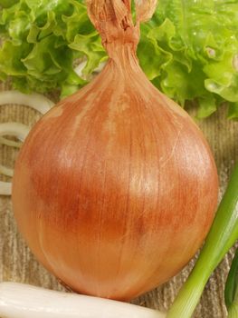 Close up the Bulb on a background of salad and onions rings
