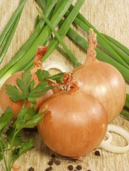 Three bulbs with a parsley on a green onions and a sacking      