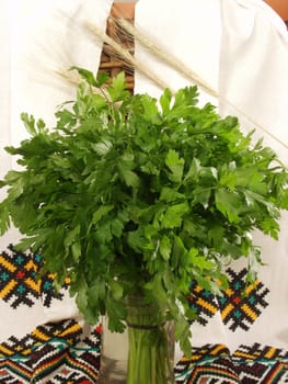 Parsley a bunch in a composition with the Ukrainian national towels    