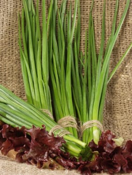Bunches of the cut off green onions and leaves of salad on a sacking    