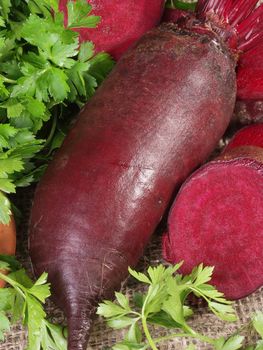 Large oblong beet, its cut and parsley  