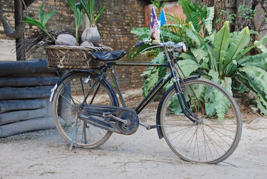 Old bicycle in a city park