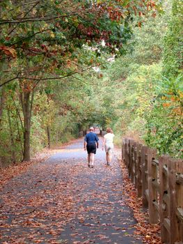 A community walking path that goes through the woods in Farmington CT.  Shot during the fall season in New England.