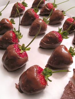 A tray of freshly dipped chocolate covered strawberries.  Delicious!